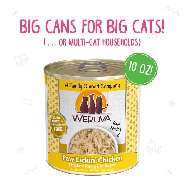 Weruva The 10 Ounce Pounce Variety Pack Grain-Free Canned Cat Food - Image 8