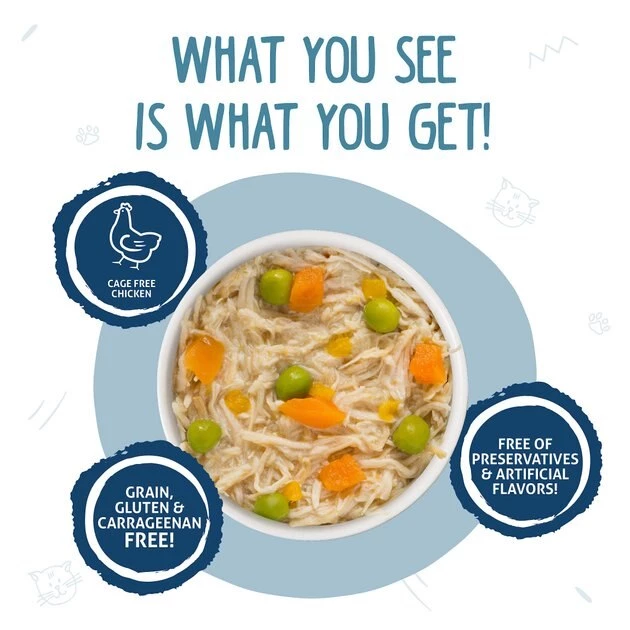 Weruva Grandma's Chicken Soup with Chicken & Pumpkin Grain-Free Canned Cat Food - Image 3