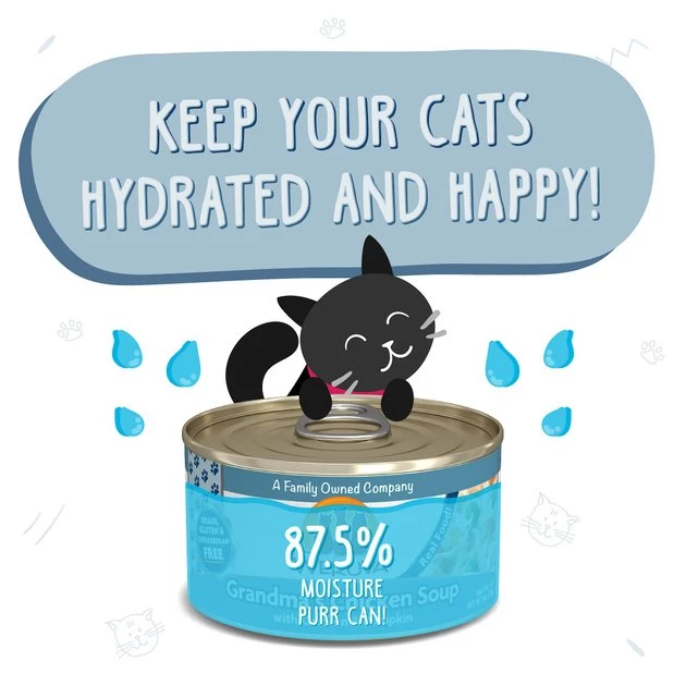 Weruva Grandma's Chicken Soup with Chicken & Pumpkin Grain-Free Canned Cat Food - Image 4