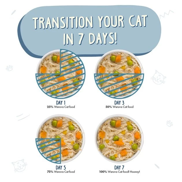 Weruva Grandma's Chicken Soup with Chicken & Pumpkin Grain-Free Canned Cat Food - Image 8