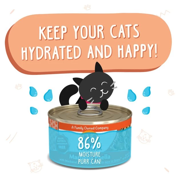 Weruva Marbella Paella with Mackerel, Shrimp & Mussels Grain-Free Canned Cat Food - Image 4