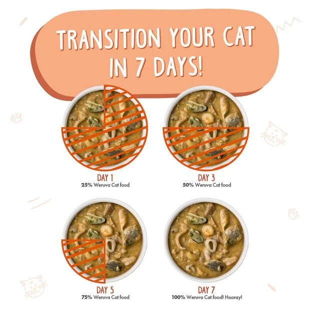 Weruva Marbella Paella with Mackerel, Shrimp & Mussels Grain-Free Canned Cat Food - Image 8