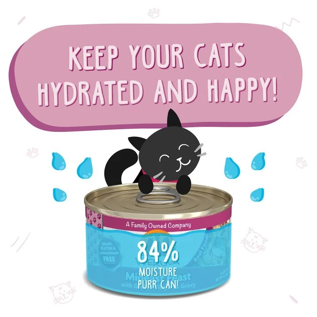 Weruva Mideast Feast with Grilled Tilapia in Gravy Grain-Free Canned Cat Food - Image 4