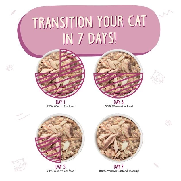 Weruva Mideast Feast with Grilled Tilapia in Gravy Grain-Free Canned Cat Food - Image 8