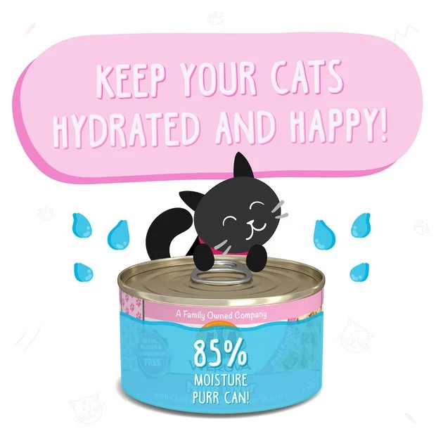 Weruva Nine Liver with Chicken & Chicken Liver in Gravy Grain-Free Canned Cat Food - Image 4