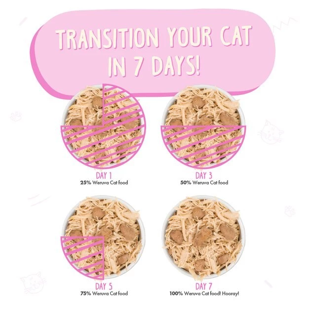 Weruva Nine Liver with Chicken & Chicken Liver in Gravy Grain-Free Canned Cat Food - Image 7