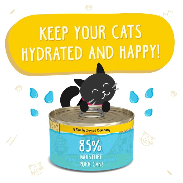 Weruva Paw Lickin' Chicken in Gravy Grain-Free Canned Cat Food - Image 4