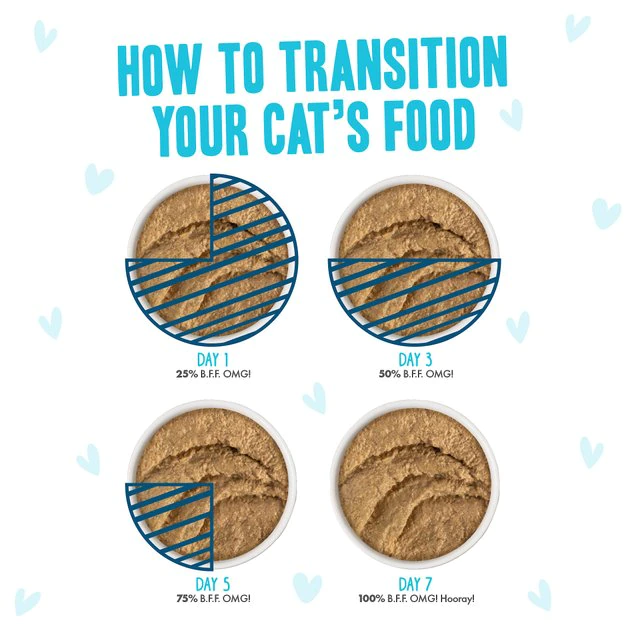 Weruva Best Feline Friend Paté Lovers, Aw Yeah! Paté Jamboree! Variety Pack Grain-Free Wet Cat Food, 2.8-oz pouch, case of 12 - Image 8