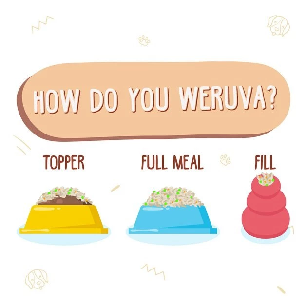 Weruva Wok the Dog with Chicken, Beef & Pumpkin in Gravy Grain-Free Canned Dog Food - Image 5