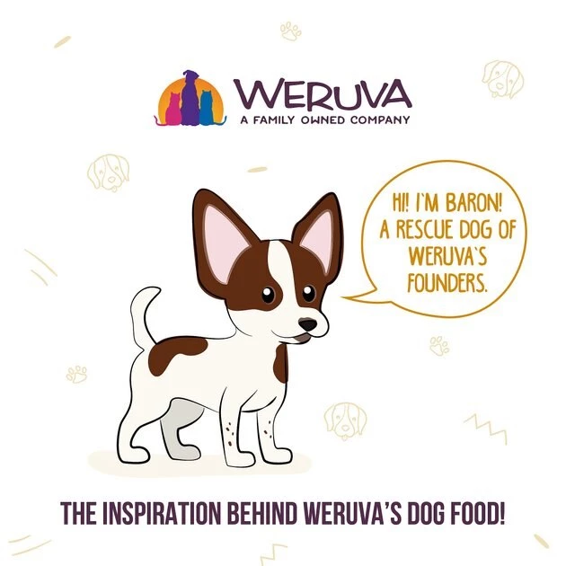 Weruva Wok the Dog with Chicken, Beef & Pumpkin in Gravy Grain-Free Canned Dog Food - Image 6