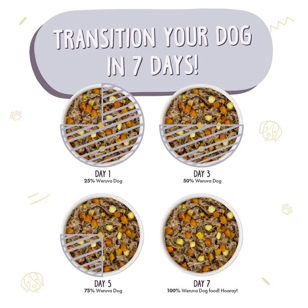 Weruva Steak Frites with Beef, Pumpkin & Sweet Potatoes in Gravy Grain-Free Canned Dog Food - Image 8