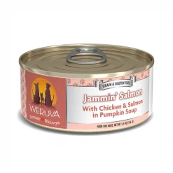 Weruva Jammin' Salmon with Chicken & Salmon in Pumpkin Soup Grain-Free Canned Dog Food